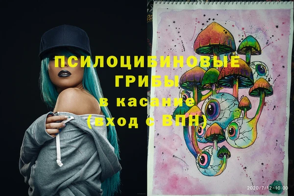 тгк Алексин