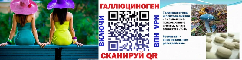 Псилоцибиновые грибы Psilocybe Чапаевск